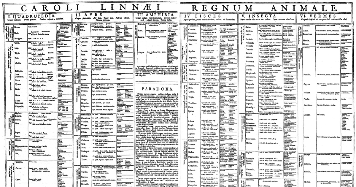 A densely printed 1735 table by Linnaeus sorting animals into classes, among them Quadrupedia, Aves, Amphibia, Pisces, Insecta and Vermes, with a panel headed Paradoxa for creatures he would not classify.